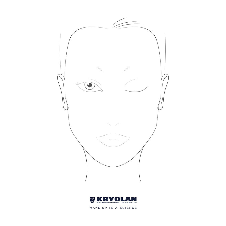 Professional Make-up Charts English